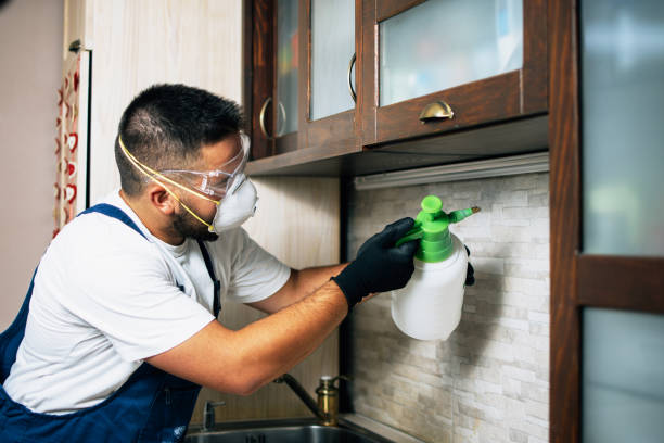  New Ulm, MN Pest Control Pros