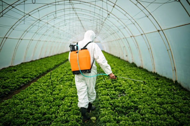 Best Best Pest Control Companies  in New Ulm, MN