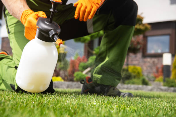 Best Affordable Pest Control Services  in New Ulm, MN