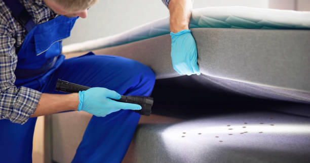 Best Termite Control Services  in New Ulm, MN